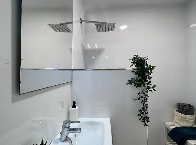 Gatu Paraguay Cadice