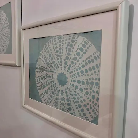 Gatu Paraguay Apartment