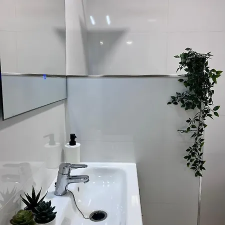 Gatu Paraguay Apartment